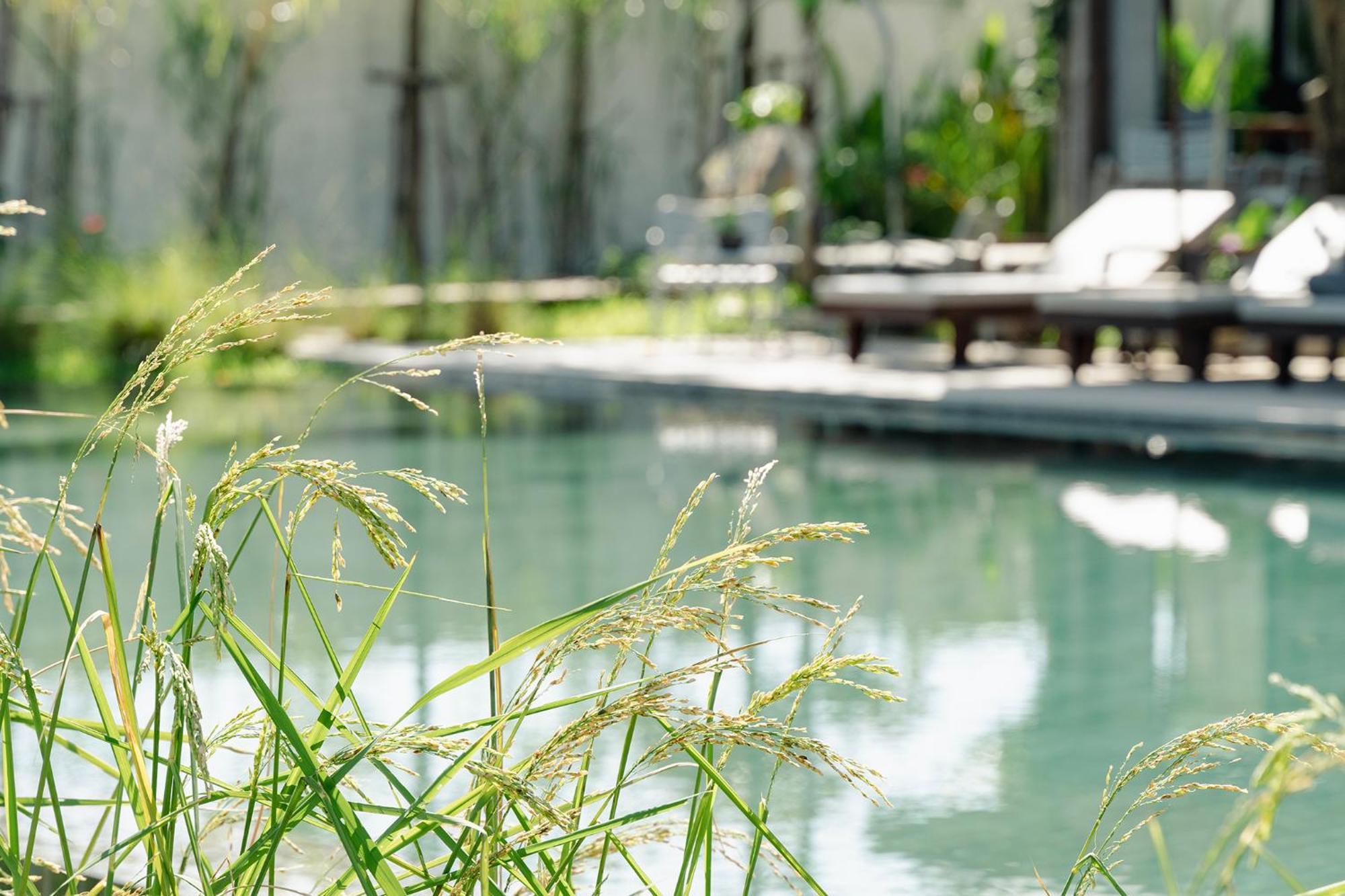 Le Chanthou Boutique Siem Reap Ngoại thất bức ảnh